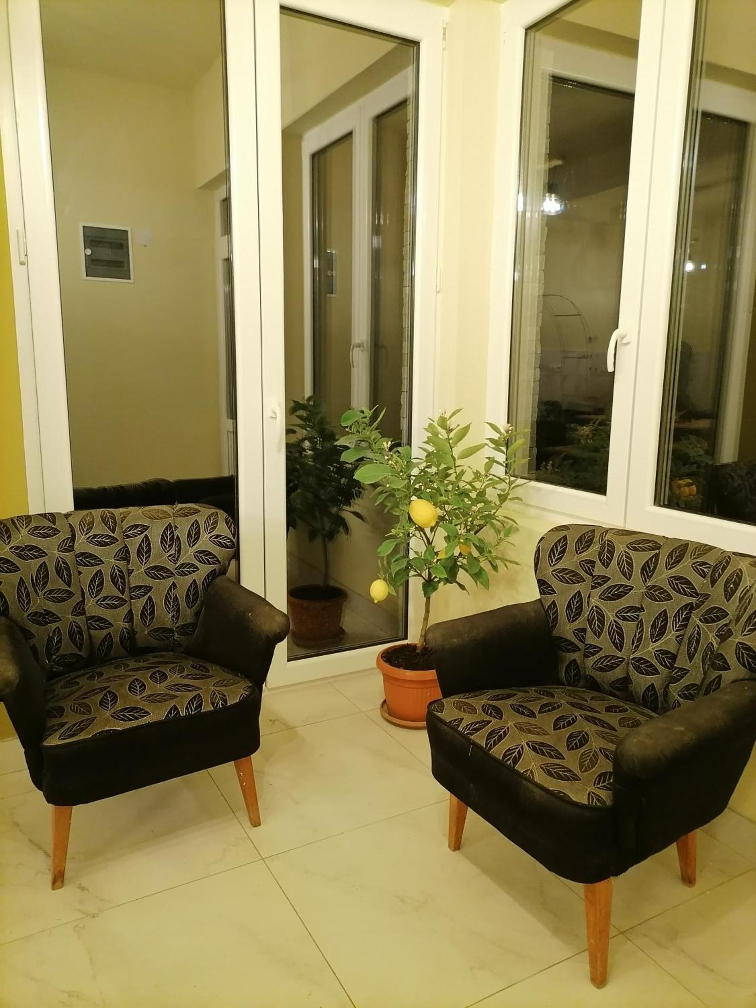 Villa Bozovic Zlatibor Luaran gambar